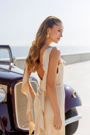 Evelin’s Dress