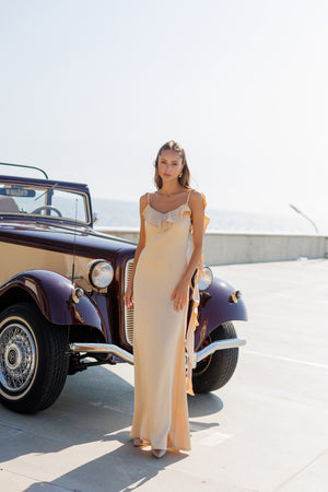 Evelin’s Dress