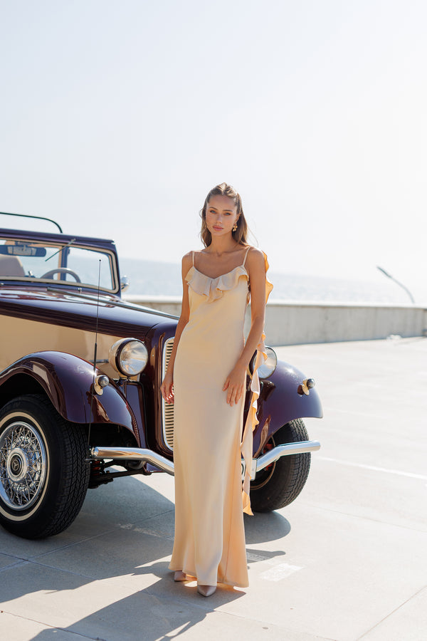 Evelin’s Dress