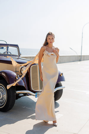 Evelin’s Dress