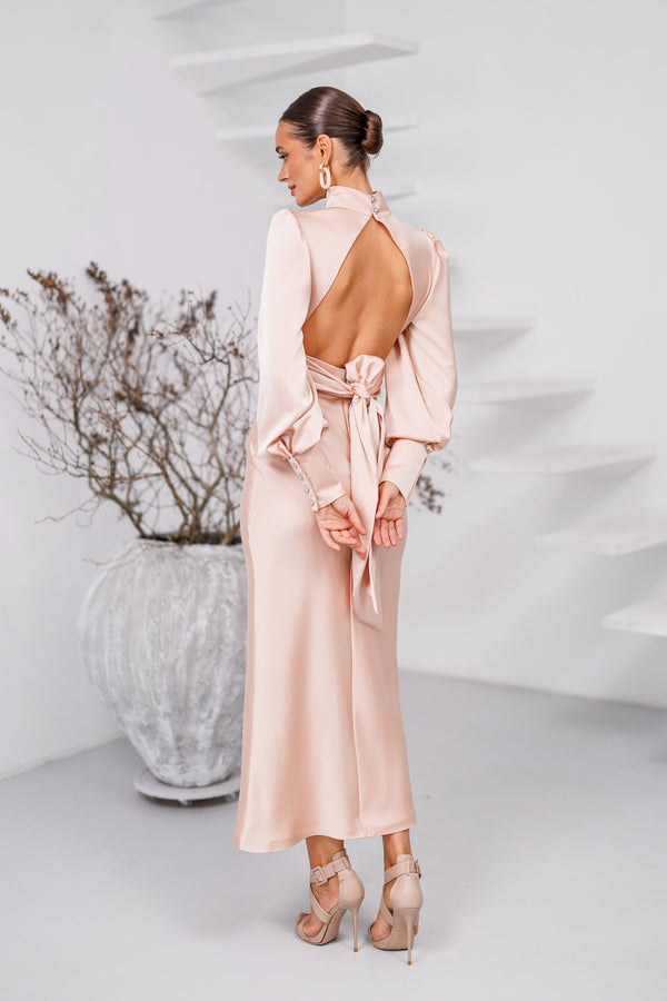 Belvessa Dress