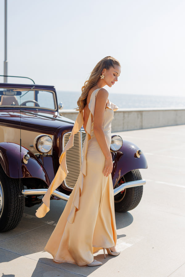 Evelin’s Dress
