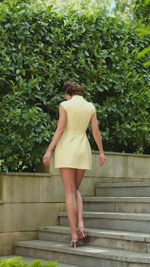 Clara Mini Dress video