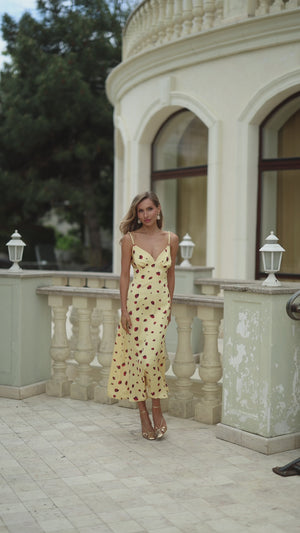 Rosaria Dress