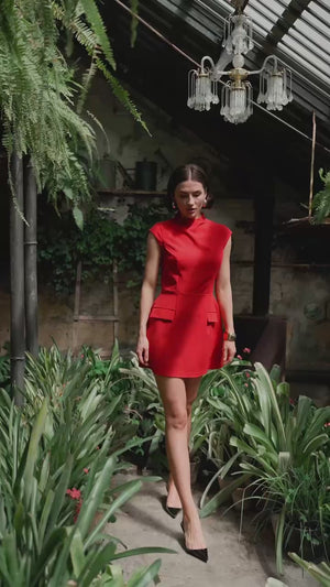 Clara Mini Dress video